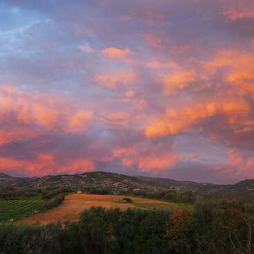 Um céu vibrante ao pôr do sol, repleto de nuvens rosa e laranja, ilumina uma paisagem rural serena com colinas onduladas, campos verdes e árvores espalhadas ao fundo.