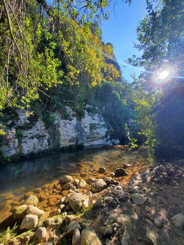 Ein ruhiger Bach fließt über glatte Felsen, umgeben von üppigem Grün. Das Sonnenlicht fällt durch die Bäume und taucht die Landschaft in einen warmen, friedlichen Schein.