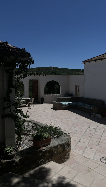 L'image représente un cadre extérieur serein, avec un mur de pierre et un petit bâtiment, avec un arbre et une clôture en arrière-plan, évoquant un sentiment de tranquillité et de beauté naturelle.
