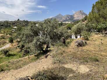 This image shows a sunny landscape with olive trees, dry grass, distant mountains, blue sky, scattered clouds, a small building, and vibrant green vegetation throughout.
