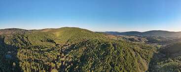 La imagen representa un paisaje sereno en el que aparece una zona boscosa con una masa de agua, probablemente un lago o un río, rodeada de árboles y vegetación, con un cielo despejado.