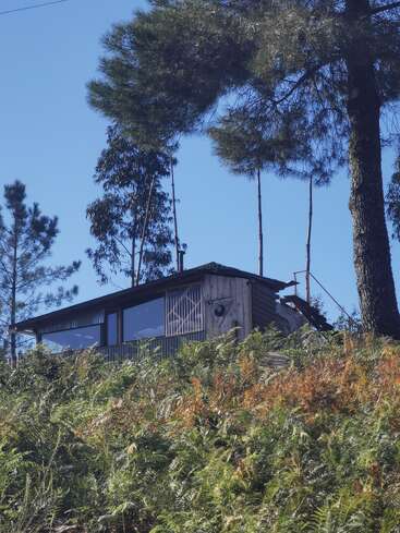 A small wooden cabin sits atop a hill, surrounded by tall trees and dense green ferns, under a clear blue sky, exuding tranquility and seclusion.