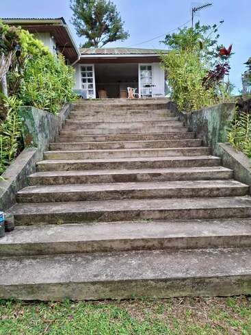 Un large escalier en pierre mène, à travers une végétation luxuriante, à une confortable maison blanche aux portes ouvertes. Un petit chien est assis au sommet.