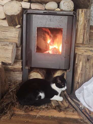 Un gato blanco y negro descansa cómodamente sobre la leña, al calor de una estufa de leña. Les rodean troncos apilados y piedras lisas.