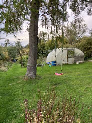 A lush green garden features a large tree with a red swing, a polytunnel greenhouse, scattered barrels, bushes, and a grassy path winding through nature.