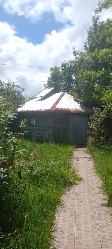 A weathered wooden cabin with a metal roof sits surrounded by overgrown grass and bushes. A tiled path leads to its closed door under a cloudy sky.