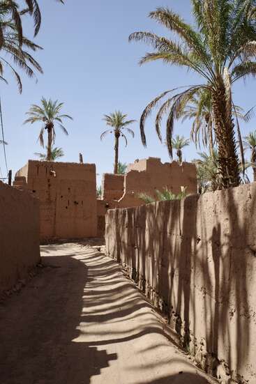 Eine schmale Gasse mit Lehmziegelmauern und bröckelnden Gebäuden wird von hohen Palmen gesäumt. Die Schatten der Palmen erzeugen auffällige Muster auf dem Boden.