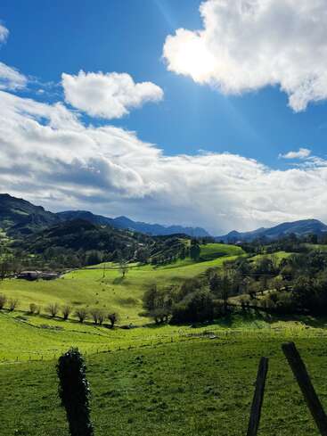 Das Bild zeigt eine ruhige Landschaft mit sanften Hügeln, üppigem Grün und einem blauen Himmel mit weißen Wolken, die ein Gefühl von natürlicher Schönheit und Ruhe hervorrufen.