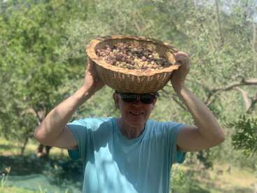 Eine lächelnde Person mit Sonnenbrille hält einen großen Korb mit frisch gepflückten Oliven auf dem Kopf. Sie steht in einem üppigen, sonnenbeschienenen Obstgarten, der von Bäumen umgeben ist, im Freien.