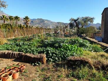 L'image représente une scène de jardin sereine avec de la verdure luxuriante, un mur de pierre et une chaîne de montagnes pittoresque en arrière-plan par une journée ensoleillée.