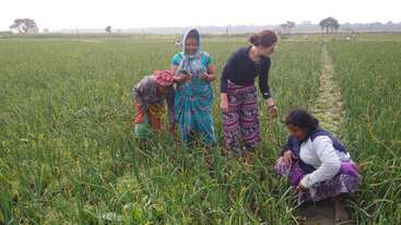 L'image montre un groupe de personnes travaillant dans un champ, avec des rangées de plantes vertes et quelques individus debout, peut-être occupés à des activités agricoles. La scène semble se dérouler dans une zone rurale.