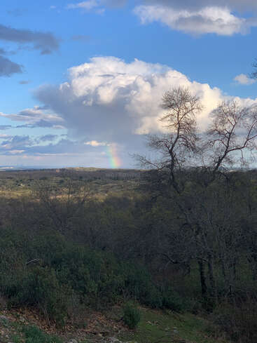 La imagen representa un paisaje sereno con un arco iris que emerge de una nube, sobre un fondo de árboles y un cielo azul con nubes blancas.