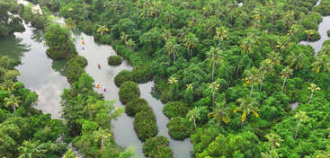 Esta imagem mostra uma paisagem tropical vibrante e exuberante com rios sinuosos, palmeiras abundantes, folhagem verde densa e pequenos barcos remando suavemente em águas tranquilas.