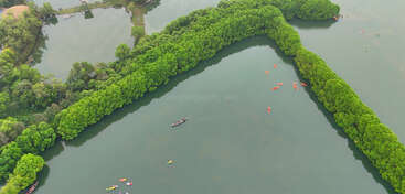Uma vista aérea de um manguezal verde exuberante em torno de águas calmas, com vários caiaques e barcos espalhados, refletindo uma paisagem natural serena e vibrante.