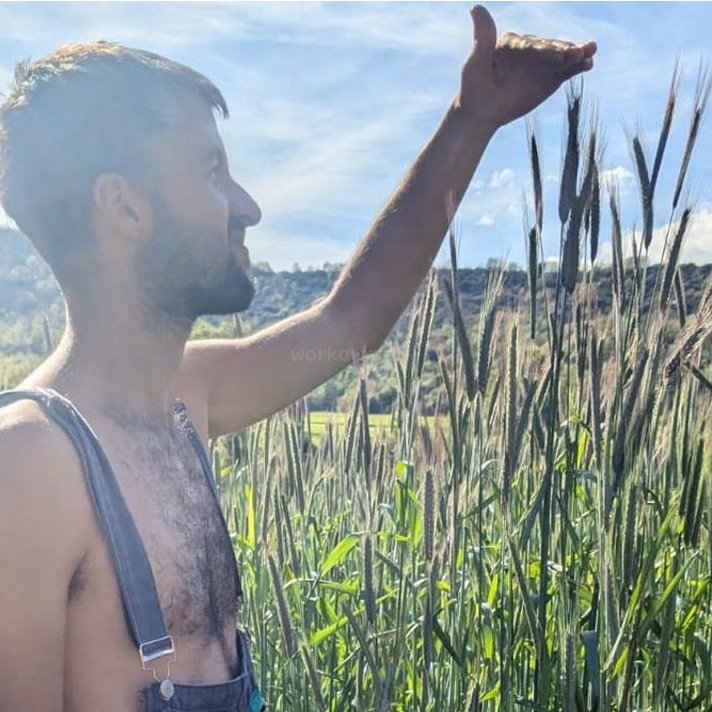 Un hombre vestido con un mono está de pie en un campo de cultivos altos, levantando el brazo para protegerse los ojos del sol, rodeado de naturaleza y cielo azul.