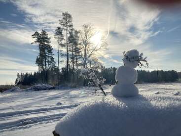 Um pequeno boneco de neve está em um monte de neve, decorado com galhos. Árvores altas e luz solar intensa criam uma paisagem de inverno tranquila ao fundo.