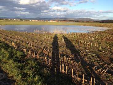 Um campo com restolho curto, manchas de grama verde e uma grande poça refletindo o céu. Duas longas sombras humanas se estendem em direção à água.