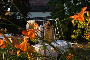 Lírios alaranjados brilhantes emolduram o primeiro plano, enquanto a roupa suja é pendurada em prateleiras e uma cesta fica próxima em um jardim iluminado pelo sol, criando uma cena doméstica tranquila.