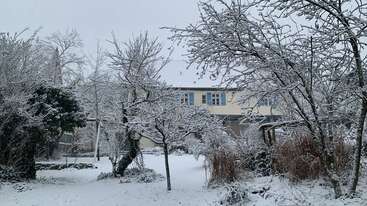 Una tranquila escena invernal muestra una casa al fondo rodeada de árboles sin hojas, todos cubiertos de nieve fresca. El suelo está cubierto de blanco.
