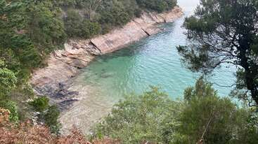 Una cala escondida de aguas turquesas está rodeada de acantilados rocosos y exuberante follaje verde. Altos árboles enmarcan la vista, creando un escenario natural sereno y virgen.