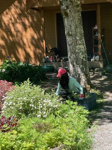 Una persona con una gorra roja está trabajando en el jardín en un patio frondoso y verde. Está arrodillada junto a un arbusto, rodeada de flores, cerca de una casa y un árbol.