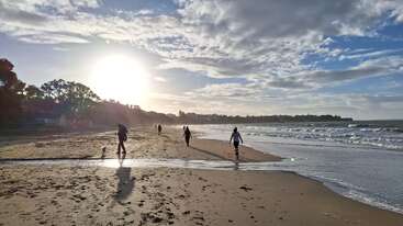 People stroll along a sandy beach at sunrise, casting long shadows. Gentle waves meet the shore, clouds scatter across a blue sky, and a dog explores nearby.