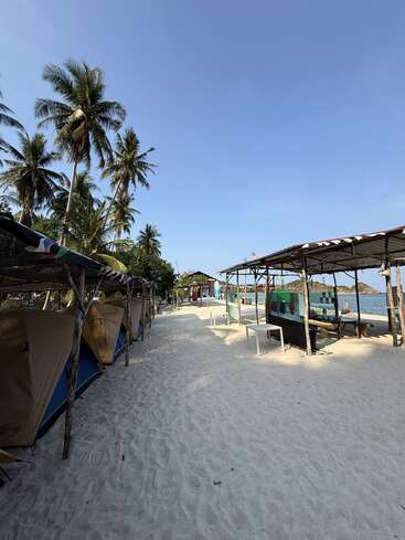 A sandy beach with palm trees, tents lined up on the left, rustic shelters on the right, and clear blue skies creating a relaxed, tropical atmosphere.