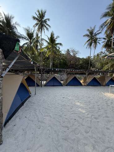 A row of blue tents is set up on sandy ground under palm trees, with a clear sky and some shade, resembling a tropical campsite scene.
