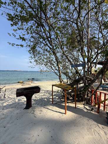 A serene beach scene with white sand, scattered tables, leafy trees providing shade, clear blue sky, calm sea, and rocks, evoking a peaceful, relaxing atmosphere.