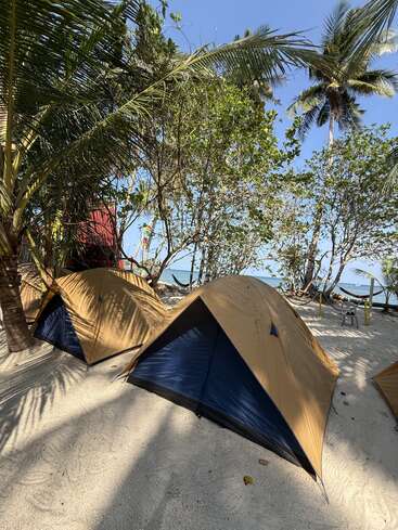 Three tents are set up on sandy ground under palm trees. Shadows from the leaves create patterns, and the ocean is visible in the background, suggesting paradise camping.