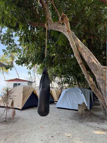 A black punching bag hangs from a tree branch. Several camping tents are set up under the shade, surrounded by tropical trees on sandy ground near the beach.