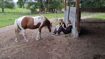 Dos mujeres se sientan junto a un cobertizo de madera, descansando con un perro. Cerca hay un caballo marrón y blanco. La escena es tranquila en una granja verde.