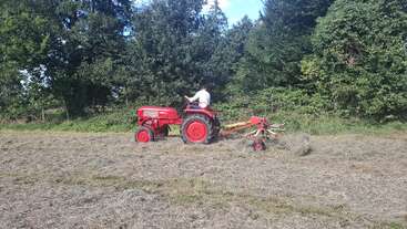 A person drives a red tractor across a field, using a hay rake attachment. Behind, trees form a natural border, and the sky is partly cloudy.