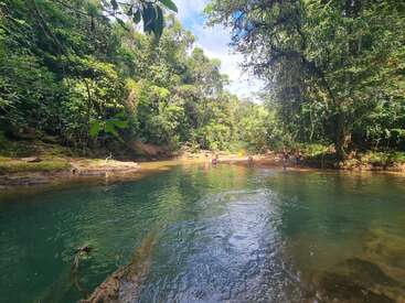 A serene river winds through a lush, green tropical forest. Sunlight filters through dense foliage. People wade and relax along the calm, clear water’s edge.