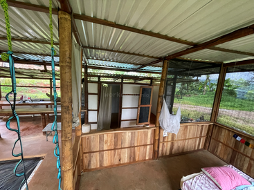 This image shows an open-air bamboo and wood structure with a simple kitchen, bathroom area, bed, mosquito net, swinging ropes, and natural surroundings visible outside.