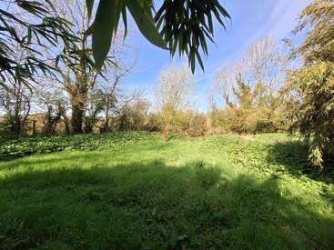 A lush, green field is surrounded by tall trees and bushes under a clear blue sky. Sunlight casts shadows, creating a peaceful, natural atmosphere.