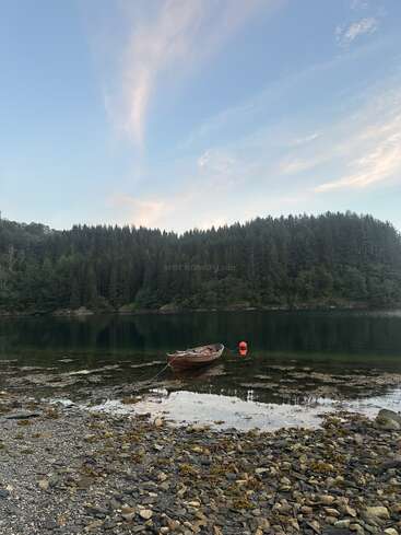 A small wooden boat is tied near the rocky shore of a calm lake, surrounded by dense pine forest and under a softly clouded blue sky.