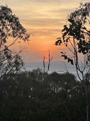 Une douce lumière dorée illumine le ciel alors que le soleil se couche derrière les eaux calmes, encadré par les silhouettes des arbres feuillus et les branches délicates et sombres au premier plan.