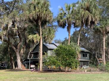 A rustic house sits among tall palm trees and live oaks draped with Spanish moss. A lush orange tree grows out front beneath a clear blue sky.