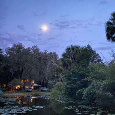 The image depicts a tranquil evening scene by a pond, with lily pads, lush greenery, a moonlit sky, a palm tree, and a warmly lit house.