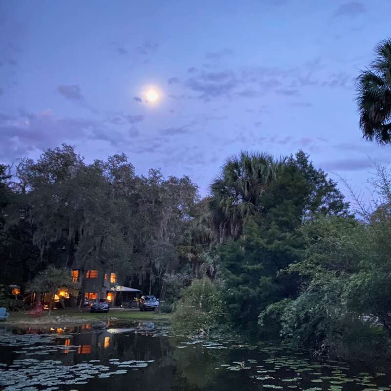The image depicts a tranquil evening scene by a pond, with lily pads, lush greenery, a moonlit sky, a palm tree, and a warmly lit house.