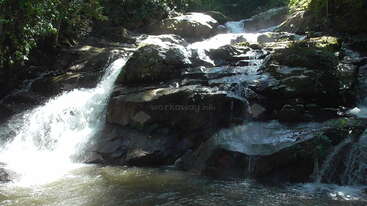 Das Bild zeigt eine ruhige Naturszene mit einem kleinen Wasserfall, der in ein ruhiges Gewässer stürzt, umgeben von üppigem Grün und einem klaren blauen Himmel.