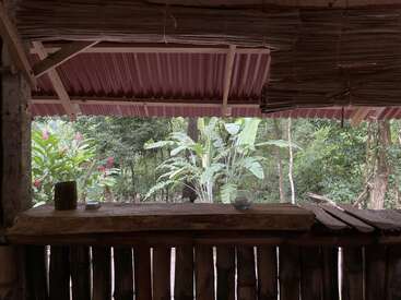 Das Bild zeigt eine rustikale Holzbar mit rotem Wellblechdach vor einer üppigen Waldkulisse, die eine natürliche und heitere Atmosphäre ausstrahlt.
