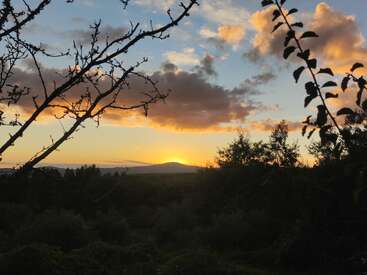 Uma bela cena de pôr do sol com o sol mergulhando atrás de colinas distantes, nuvens alaranjadas, árvores em silhueta e galhos emoldurando a paisagem tranquila sob um céu vibrante.