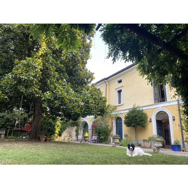 The image depicts a two-story yellow house with white trim, featuring arched doorways and windows, surrounded by lush greenery and a black and white dog lying on the grass in front.