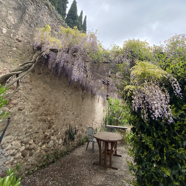 The image depicts a serene outdoor setting, featuring a stone wall and a vibrant green plant with small leaves, set against a backdrop of a clear blue sky.
