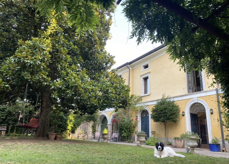 The image depicts a two-story yellow house with white trim, featuring arched doorways and windows, surrounded by lush greenery and a black and white dog lying on the grass in front.