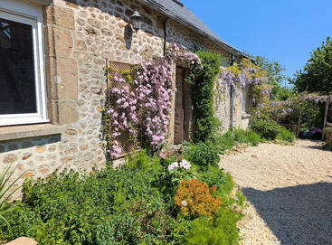 Ein charmantes, rustikales Steinhaus, an dessen Wänden rosa und lila Blumen emporranken. Ein strahlend blauer Himmel, ein üppig grüner Garten und ein Kiesweg runden das Bild ab.