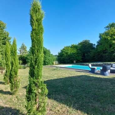 The image shows a sunny garden with tall, narrow evergreen trees, green grass, a swimming pool, outdoor furniture, and lush trees under a clear blue sky.