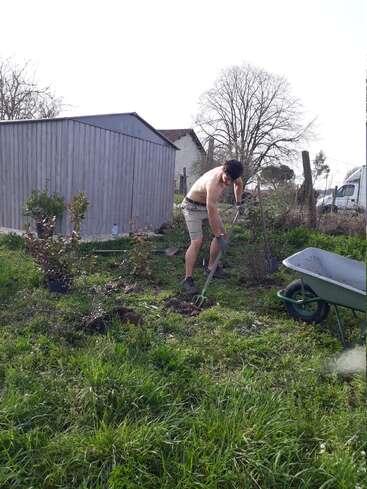 A shirtless man is gardening, digging the ground with a pitchfork, near a wooden shed. A wheelbarrow and potted plants are visible nearby in the yard.